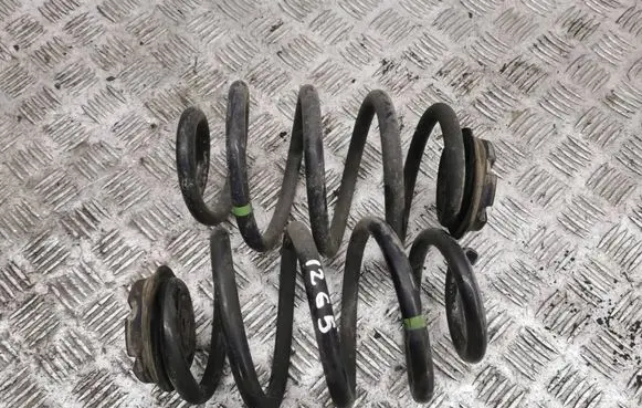 Nissan Leaf II (ZE1) Rear coil spring