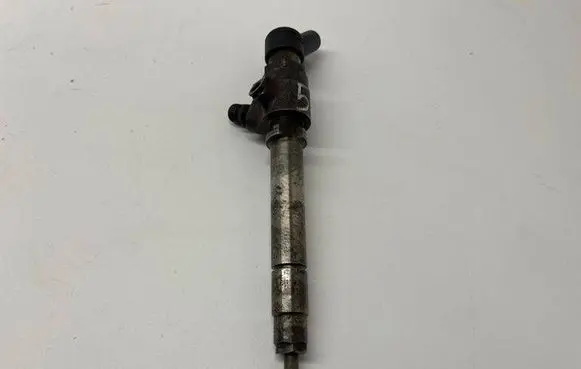 Land Rover Range Rover L322 Fuel injector 6h4q9k546db