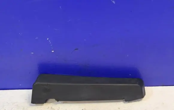 Rear/tail light trim molding