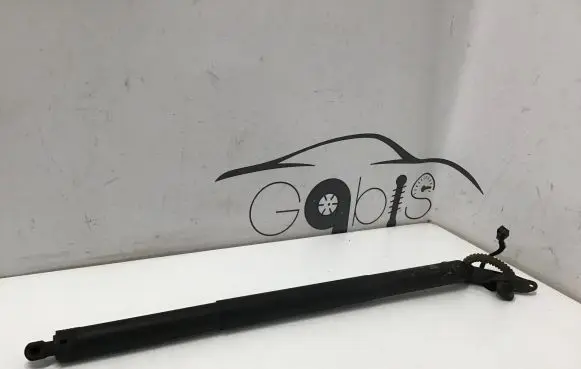 Tailgate strut
