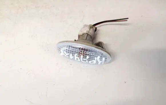 Front fender indicator light