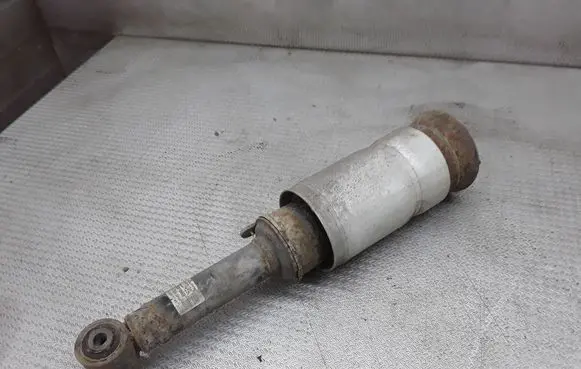 Land Rover Range Rover Sport L320 Air suspension front shock absorber 22227491