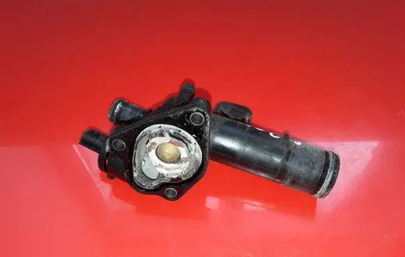 Thermostat/thermostat housing