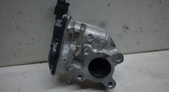 EGR valve