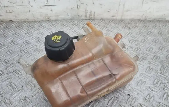 Renault Scenic III - Grand scenic III Coolant expansion tank/reservoir 217100005R 217100005RD