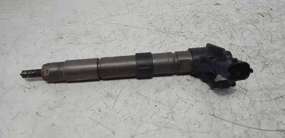Land Rover Range Rover Evoque L538 Fuel injector 004881532 0986435423 0842013038