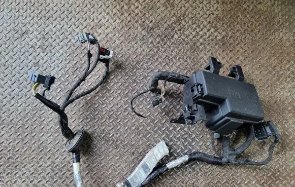 Ford Mustang VI Fuse module