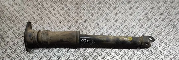 Rear shock absorber/damper