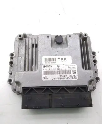 KIA Optima Engine control unit/module 0281019569 391202A307