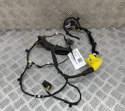 BMW iX Other wiring loom 5A54F25