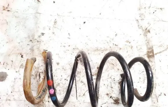 Renault Kangoo II Front coil spring