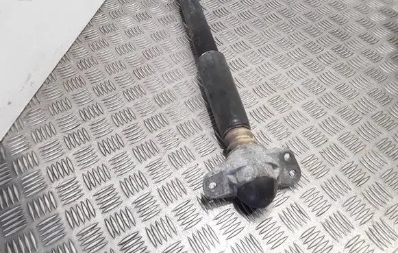 Seat Altea Rear shock absorber/damper 55281913