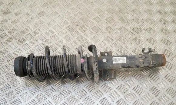 Volkswagen Polo V 6R Front shock absorber/damper 6R0413031AK