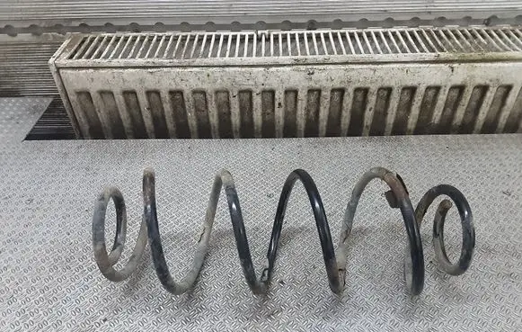 Citroen C3 Rear coil spring