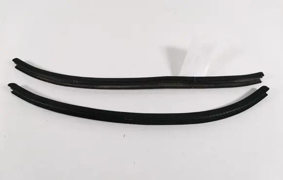 Mercedes-Benz SLK R171 Front door rubber seal A1716970151