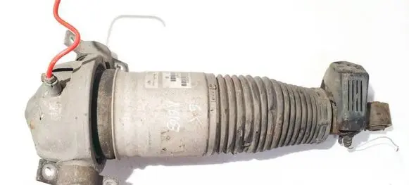 Audi Q7 4L Rear shock absorber/damper 7l8616019