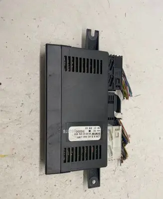 BMW 5 E39 Light module LCM 6919453 61356919453 310200000076