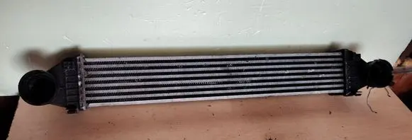 Mercedes-Benz A W169 Intercooler radiator A1695000000