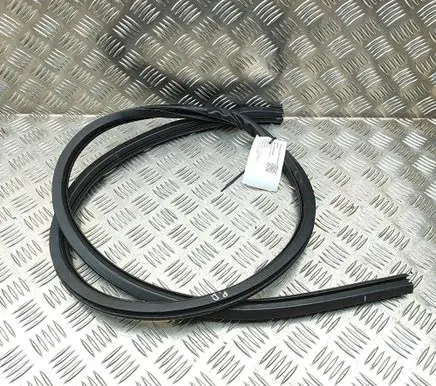 Lexus RC Rubber seal front door (on door) 6231124040