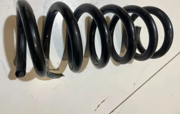 Ford Mustang VI Rear coil spring FR3C556BC
