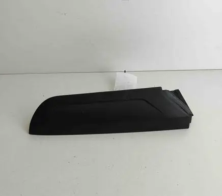 Rear/tail light trim molding
