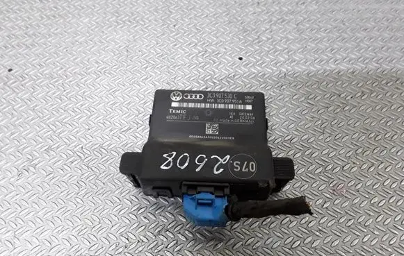 Volkswagen PASSAT B6 Gateway control module 3C0907530C