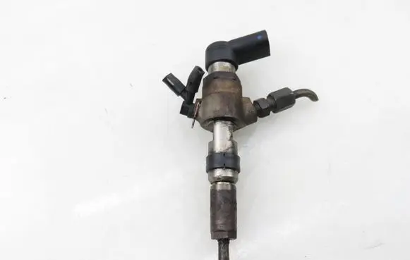Citroen C2 Fuel injector 9654551080
