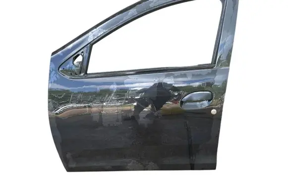 Dacia Sandero Front door