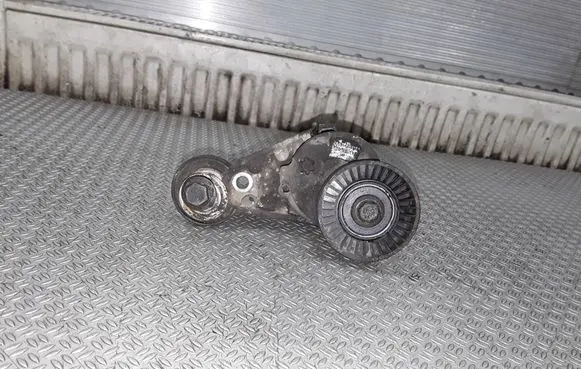 Volvo S60 Generator/alternator belt tensioner 
