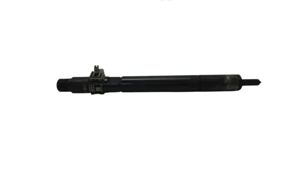 SsangYong Rexton I Fuel injector A6650170121 5CC1CBDE B9D9ED6E