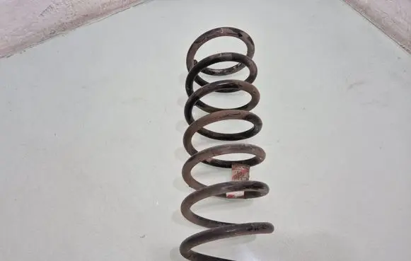 Rear coil spring