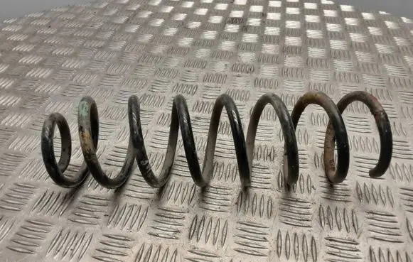 Renault Megane II Rear coil spring