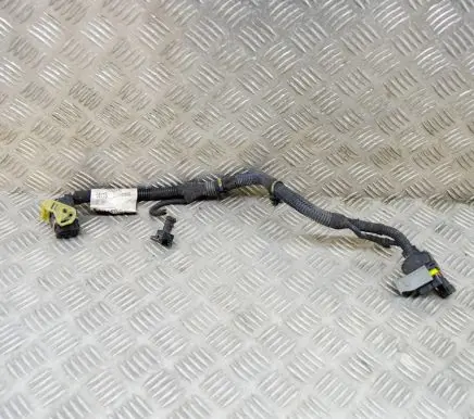 Maserati Ghibli Other wiring loom 670007516