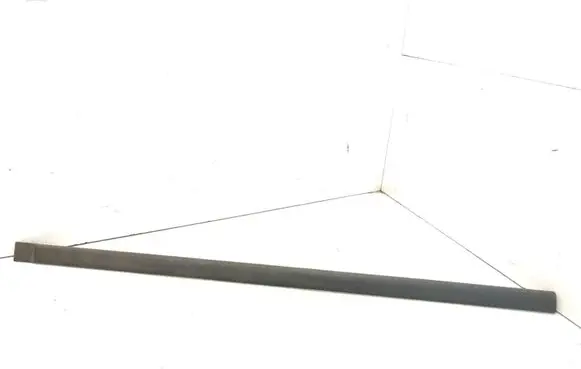 Front door trim (molding)