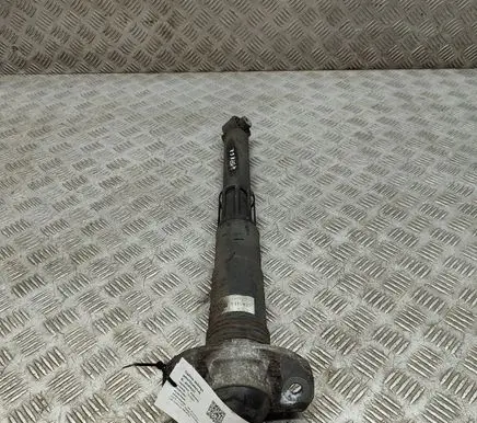 Volkswagen ID.3 Rear shock absorber/damper 1EA513423F