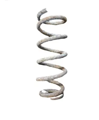 Honda Accord Rear coil spring