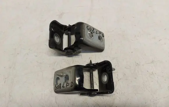 Peugeot 508 II Front door hinge set PEU508Zaw339072
