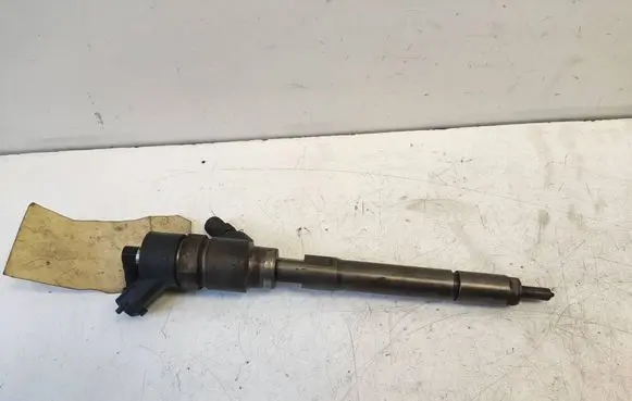 Chevrolet Captiva Fuel injector 0445110270