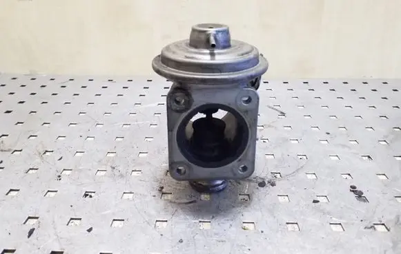 EGR valve