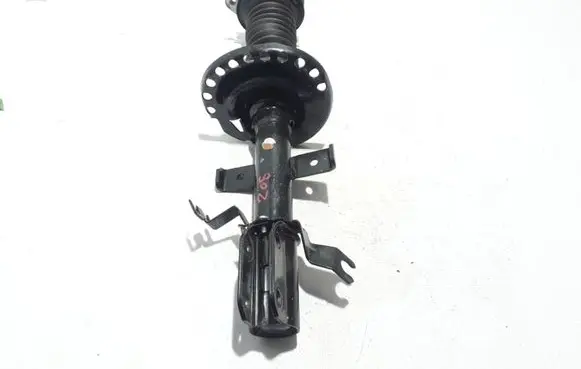 Renault Zoe Front shock absorber/damper 543028406R