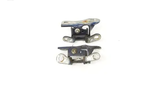 Chrysler 300 - 300C Rear door lower hinge