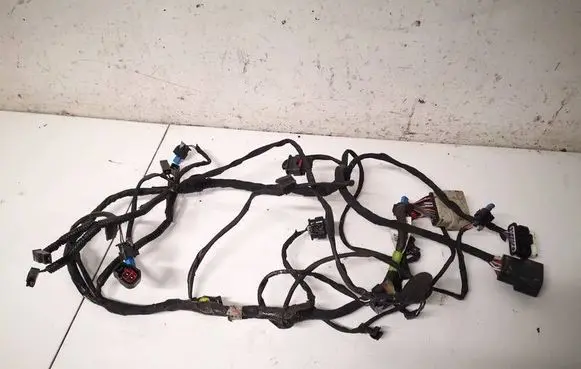 Tesla Model S Other wiring loom 303533801D