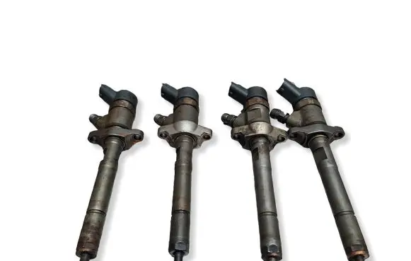 Citroen Berlingo Fuel injector S27649820 0445110239