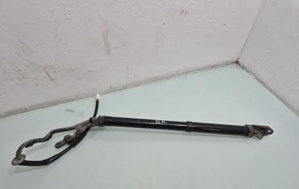 Toyota RAV 4 (XA40) Tailgate/trunk strut/damper 6891042016