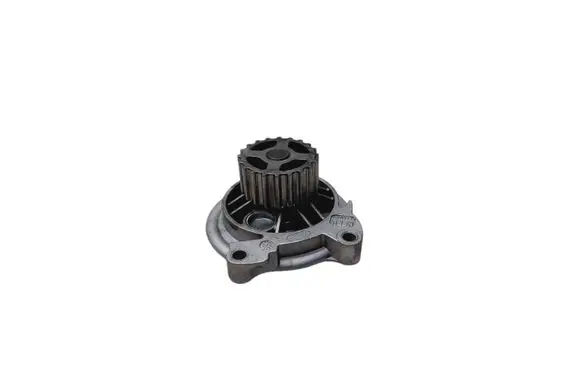Volkswagen Crafter Water pump 076121008
