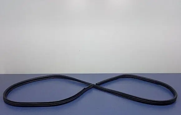 Renault Kangoo II Front door rubber seal 