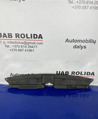 Engine bonnet/hood lock trim molding