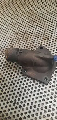 Thermostat/thermostat housing