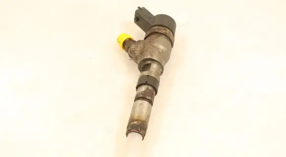 Citroen Berlingo Fuel injector 0445110062