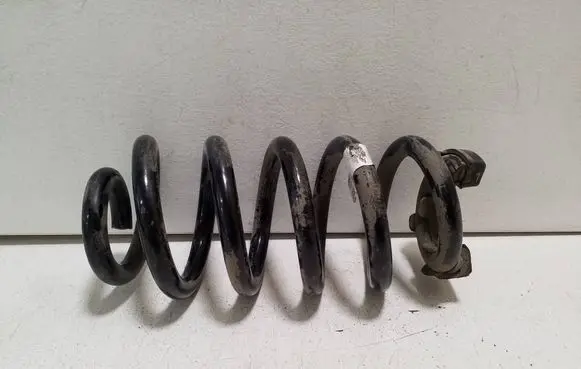 Cupra Born Rear coil spring 1EA511103Q